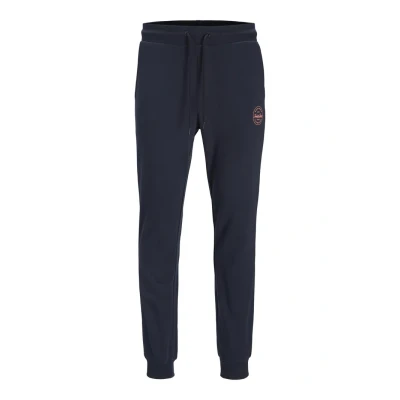 Imagen de Pantalón de jogging Jack &amp; Jones Gordon Shark basic