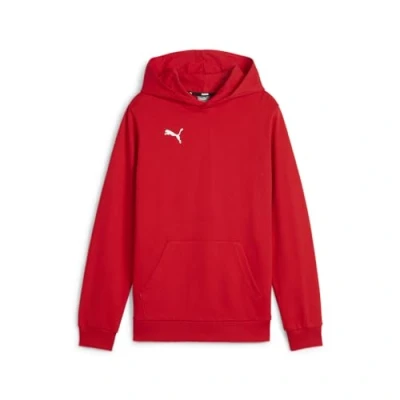Imagen de PUMA Sudadera con Capucha para niño Teamgoal Casuals