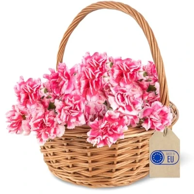 Imagen de Creative Home Cesta de Mimbre Pequeña con Asa 22 x 26 cm (+/ 2 cm) para Regalo Picnic Plantas Almacenaje Decoración Pacua Tejida a Mano Marrón Natural Multiuso, Práctica y Duradera