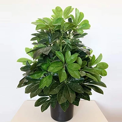 Imagen de Planta Ficus verde artificial de 60 cm altura con maceta