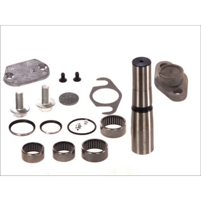 Imagen de Kit de reparación, pivote C.E.I 230056