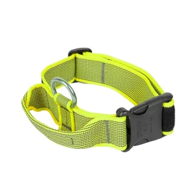 Imagen de Collar Color &amp; Gray con la manija, cerradura de seguridad y el remiendo intercambiables, 40 mm (38 53 cm), Neón Gris