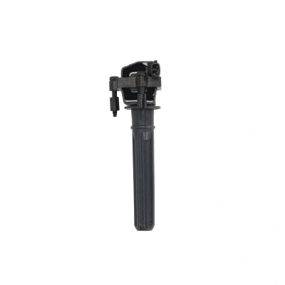 Imagen de DELPHI GN10187 12B1 Bobina de encendido 2 12