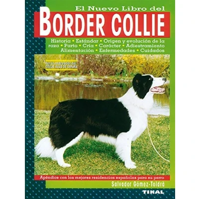 Imagen de Border Collie