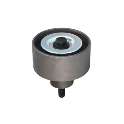 Imagen de DAYCO APV2812 Rodillo Guia
