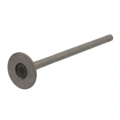 Imagen de FRECCIA R6770/RNT válvula de Escape 24,3 Vástago nitrurado