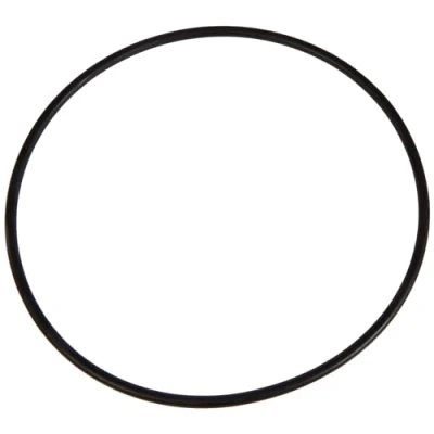 Imagen de Fluval Junta Tórica para los Filtros 304: 05, 06, 404: 06