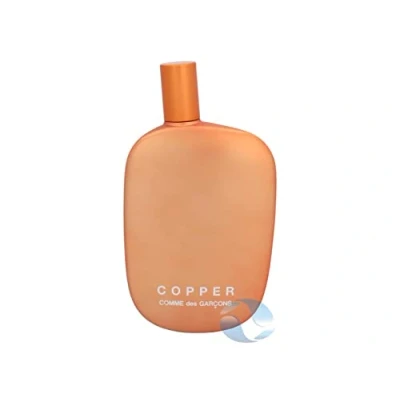 Imagen de Comme des Garçons Copper Eau de Parfum 100 ml