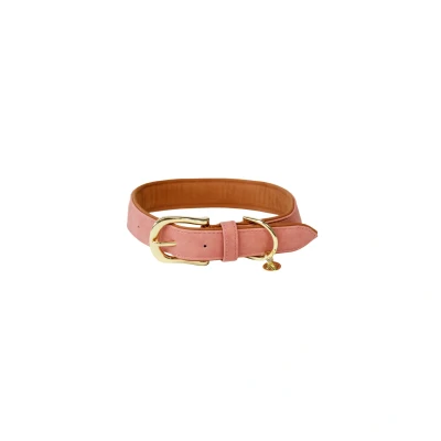 Imagen de Kentucky Dog Collar Soft Vegan Leather