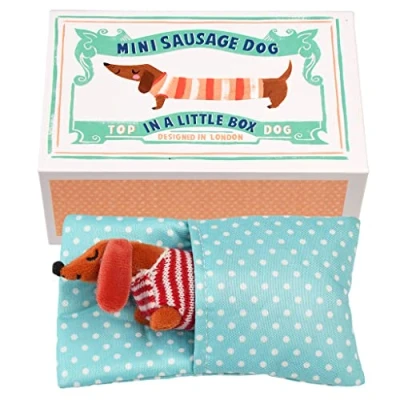 Imagen de Rex London Mini perro salchicha en una pequeña caja