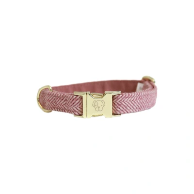 Imagen de Kentucky Dog Collar Wool