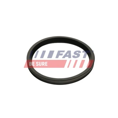 Imagen de FAST FT48947 Junta anular, conducto aire admisión RENAULT: MASTER 3, 3 Bus