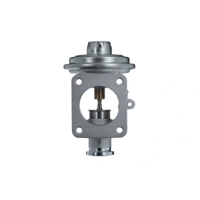 Imagen de VALEO 703233 válvula EGR neumático sin radiator EGR, con juntas BMW: 1 Hatchback, 3 Touring, X3