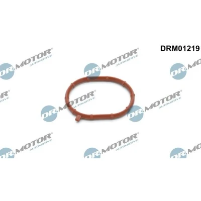 Imagen de DR.MOTOR AUTOMOTIVE DRM01219 Junta anular, turbocompresor