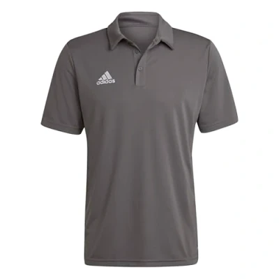 Imagen de adidas Entrada 22 Polo Shirt Camiseta, Team Grey Four, S Tall Hombre