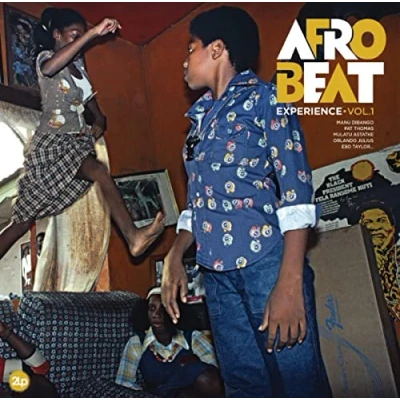 Imagen de Afrobeat Experience 01 [Vinilo]
