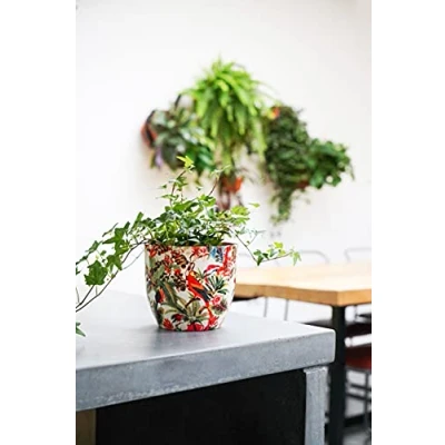 Imagen de Ivyline Maceta de Interior Monza Tropical Loro 15,5 cm Alto, Profundidad, Color Rojo y Crema, Talla única
