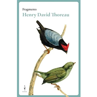 Imagen de Fragments Henry David Thoreau (FRAGMENTS FLÂNEUR)