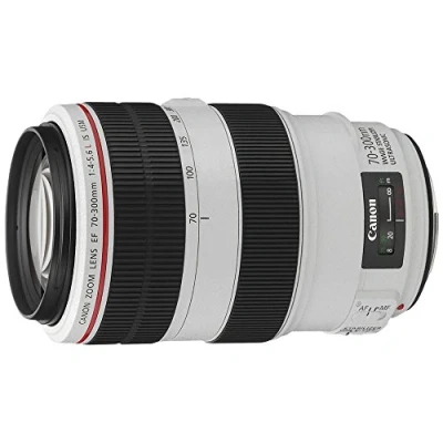Imagen de Canon EF 70 300mm f/4.0 5.6L IS USM Objetivo para (Distancia Focal 300mm, Apertura f/4 45, estabilizador, diámetro: 67mm) Negro