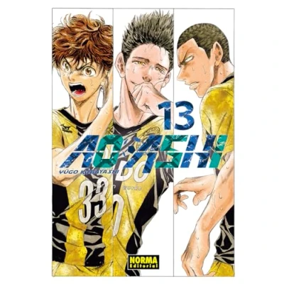 Imagen de AO ASHI 13
