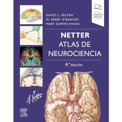 Imagen de Netter. Atlas de neurociencia (4ª ed.)