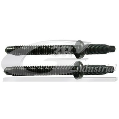 Imagen de 3RG 83295 Tornillo, soporte inyector CITROËN: C4 Picasso 1, C5 II Hatchback, C3 II, PEUGEOT: Partner Tepee, 206 Expert Tepee
