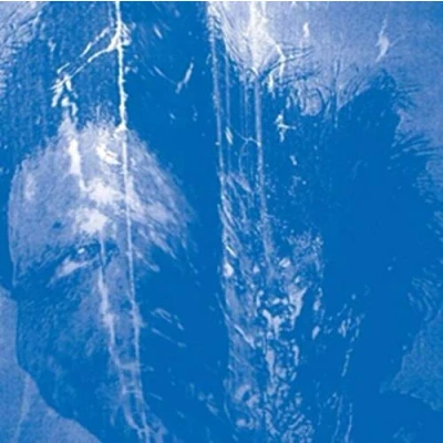 Imagen de This Is Always Where You&#039;ve Lived (vinilo)