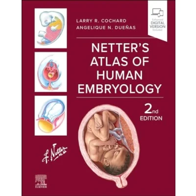 Imagen de Netters Atlas Of Human Embryology E book (ebook)