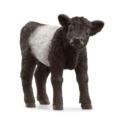 Imagen de Schleich 13969 Ternero Galloway, a partir de 3 años, FARM WORLD figura, x 8 6 cm