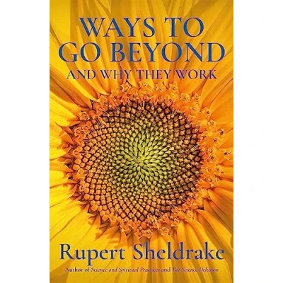 Imagen de Ways to Go Beyond and Why They Work