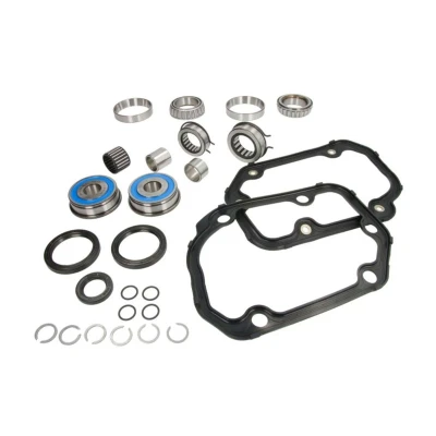 Imagen de LuK 462 0196 10 Kit de reparación, caja cambios SEAT: Leon II Hatchback