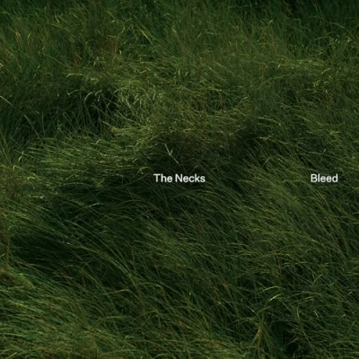 Imagen de Bleed