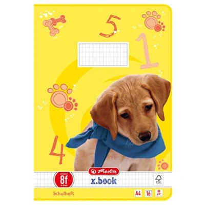 Imagen de Herlitz 11338316 Cuaderno escolar, 10 unidades, A4, diseño 16 (cuadrícula), certificado FSC Mixed, diseños variados