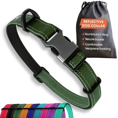 Imagen de Collar Fuerte para Perros Grandes, Color Verde, Reflectante, Ajustable, Acolchado, Hebilla de Metal, Anillo en V Aluminio, Seguridad