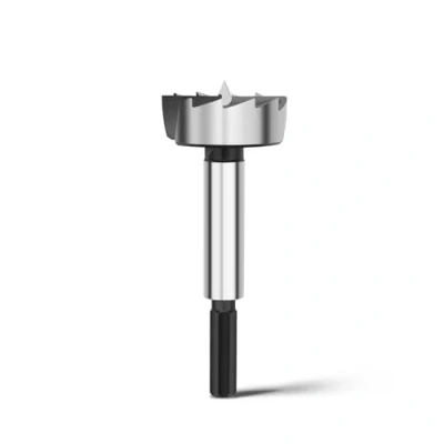 Imagen de Broca Forstner de 40 mm para madera, diámetro mm, longitud 90 con vástago hexagonal 8