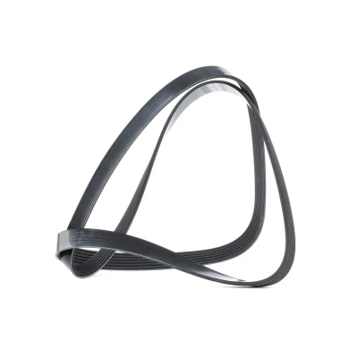 Imagen de DAYCO 6PK1545 Correa trapecial poli V 1545,0 6 BMW: 5 Berlina, X5, Touring, VOLKSWAGEN: Golf 4, Bora 4 Variant, SEAT: Leon I Hatchback
