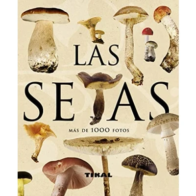 Imagen de Setas (Enciclopedia Universal)