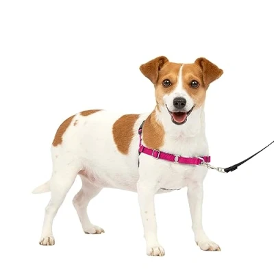 Imagen de PetSafe Easy Walk arnés para Perro, sin tirones, Frambuesa/Gris, pequeño