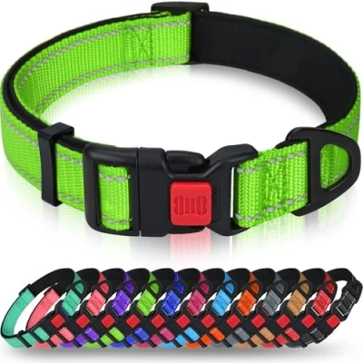 Imagen de Taglory Collar Perro, Nylon Reflectante Neopreno Forrado Ajustable para Perros Cachorro, Verde