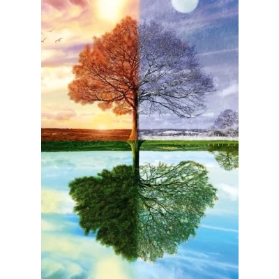 Imagen de Schmidt , The Seasons Tree Puzzle 500pc, Puzzle, Ages 12+, 1 Players