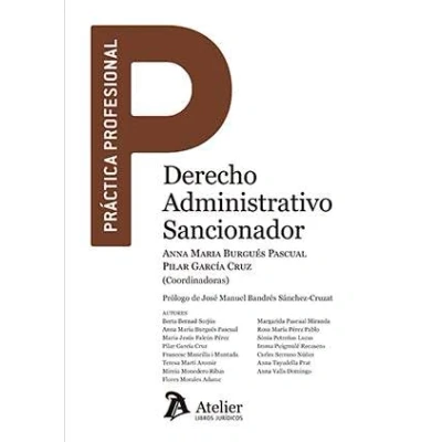 Imagen de Derecho administrativo sancionador. (PRACTICA PROFESIONAL)