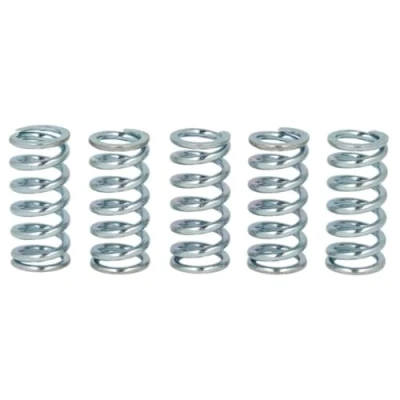 Imagen de Kit muelles de embrague TRW MEF111 5