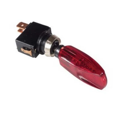 Imagen de CARPOINT 5950148 Interruptor on/off