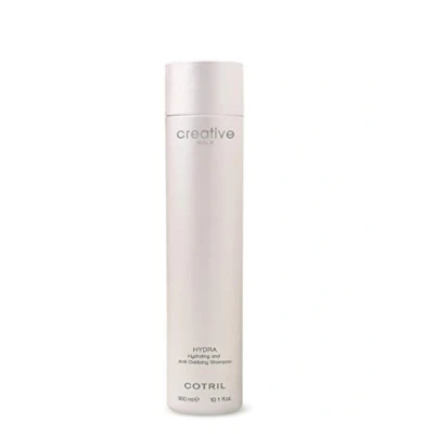Imagen de Cotril Hydra Champú Hidratante y Antioxidante (300 ml)