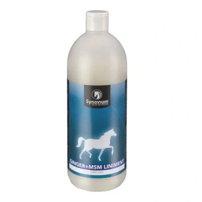 Imagen de Synovium Ginger+MSM