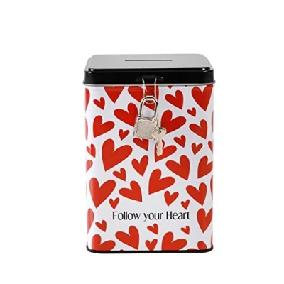 Imagen de I TOTAL® Hucha Divertida con candado y Llave, de Metal Cierre (Follow Your Heart)