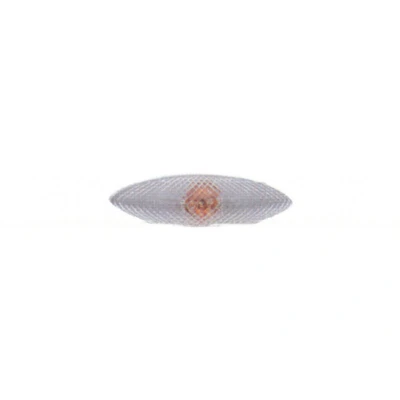 Imagen de PRASCO TY3204042 Intermitente blanco, transparente Espejo retrovisor izquierdo, Delante, izquierda, instalación lateral con portalámparas