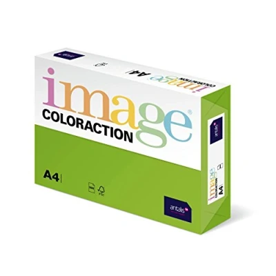 Imagen de Coloraction 838A 160S 26 Papel de colores (DIN A4, 160 g) color verde