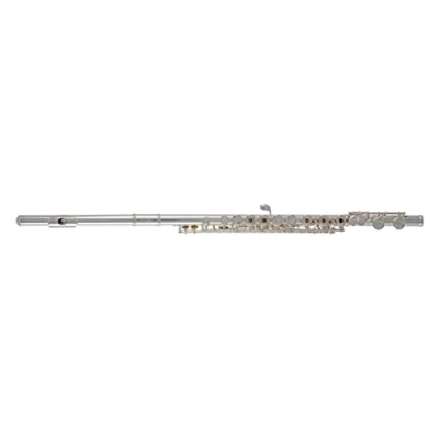 Imagen de Roy Benson Flute FL 402R2 (diseño de doble cabeza, recta y curva, lujoso acabado niquelado, llaves anulares función en línea, accesorios premium incluidos)