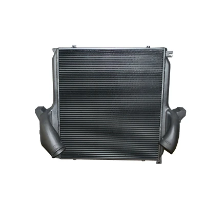 Imagen de Intercooler THERMOTEC DAME001TT